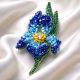 Brosa floare Iris