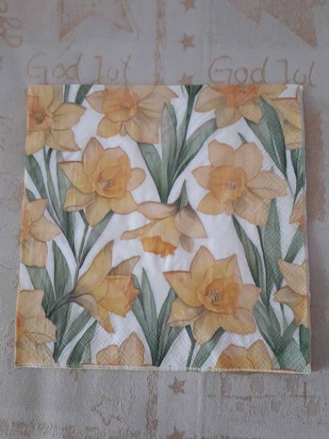 Many Yellow Daffodils