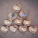 Set 10 Brose Catelusi 