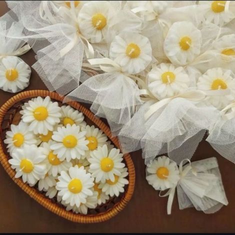 Margarete din Cear de Soia Puritate i Linite
