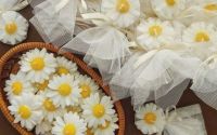 Margarete din Cear de Soia  Puritate i Linite 