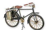 Model bicicleta neagra