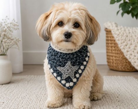 Bandana catei