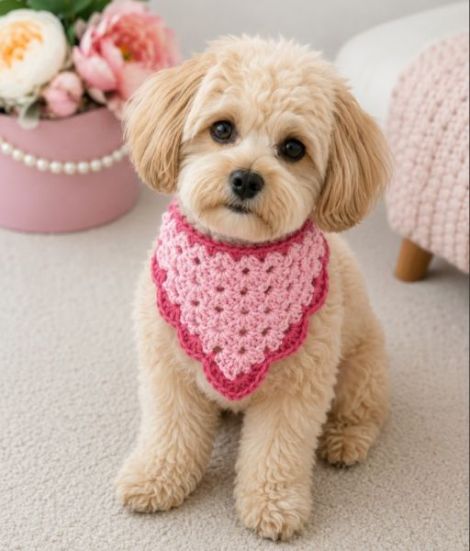Bandana caini