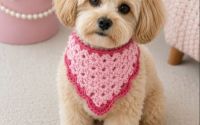 Bandana caini