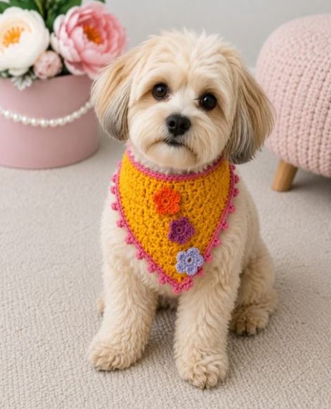 Bandana catei