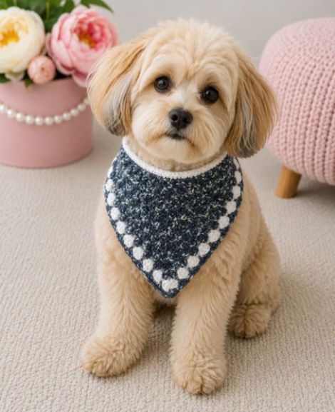 Bandana catei