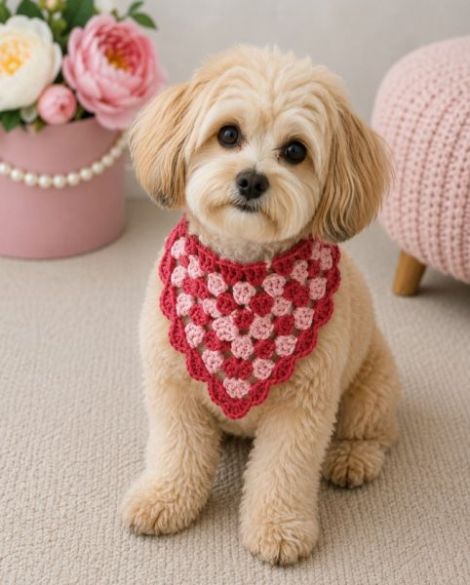 Bandana catei