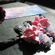 Cercei Sakura Pastel flori delicate din foamiran 