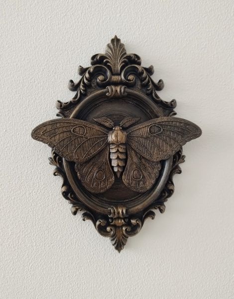 Fluture de noapte