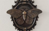 Fluture de noapte
