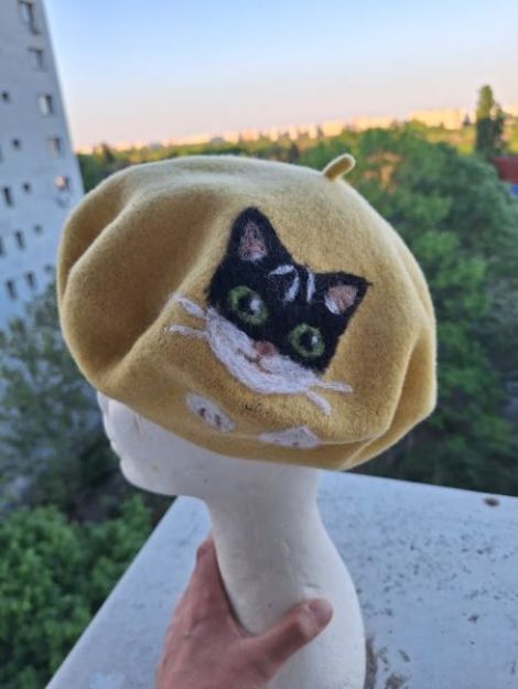 Cat Collection