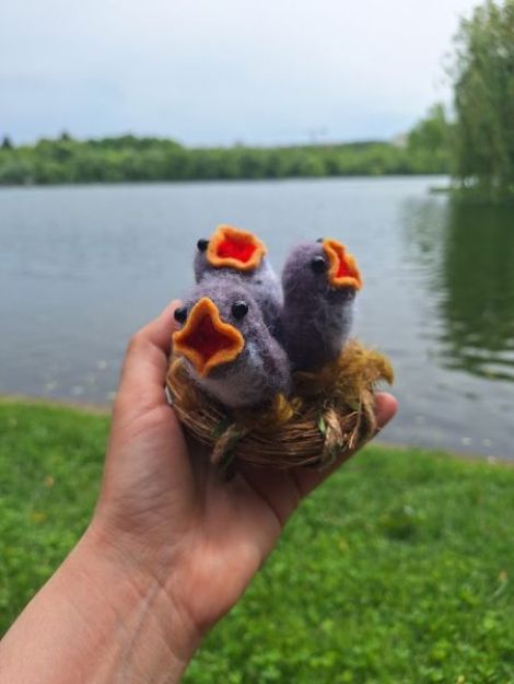 Cuib cu puisori de randunica