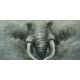 Elefant-pictura in ulei