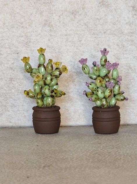 Cactui n miniatur 