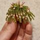 Plante decorative din margele de nisip - cu magnet