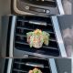 Plante decorative din margele 