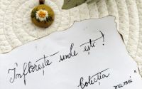 Pandativ cu margareta