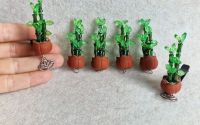 Mini Bambus 