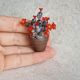 Cactus miniatur 
