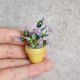 Cactus miniatur 