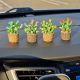 Cactus miniatur 