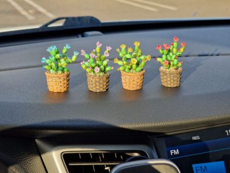 Cactus decorativ pentru masina