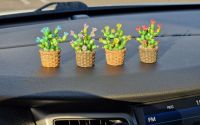 Cactus decorativ pentru masina