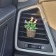 Cactus decorativ pentru masina