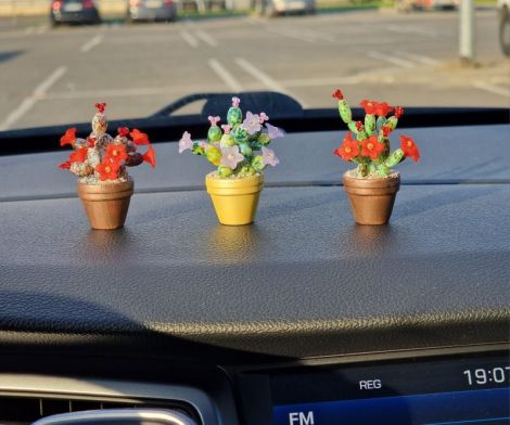 Cactus decorativ pentru masina
