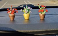 Cactus decorativ pentru masina