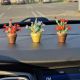 Cactus decorativ pentru masina