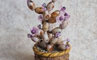 Cactus miniatur 