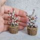 Cactus miniatur 