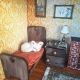 Cat Home