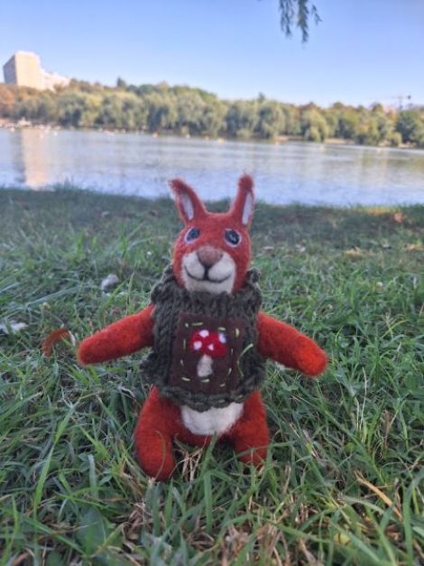 Domnul Veverita