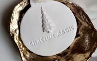 Ornament glob de Craciun