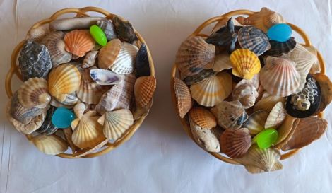 Scoici melci cadou decoraiuni rasina pandantive