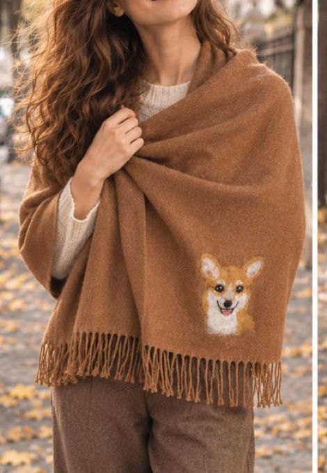 Sal impaslit cu corgi