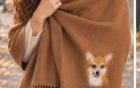 Sal impaslit cu corgi