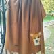 Sal impaslit cu corgi