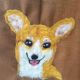Sal impaslit cu corgi