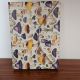 Jurnal cu ciupercue vesele