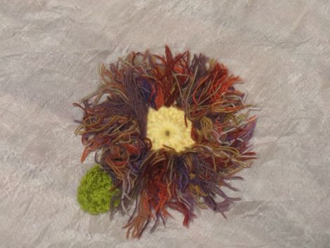 Crizantema multicolora