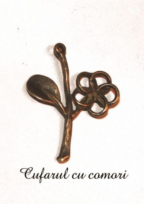Charm floricica br