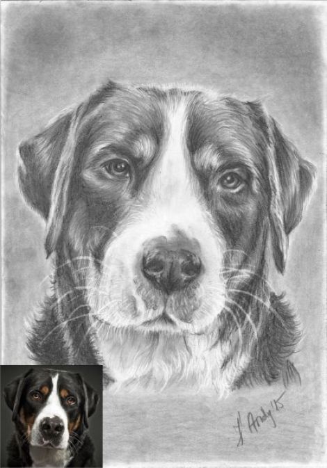 Portret dupa poza