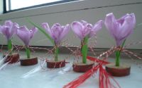Martisor "Crocus"