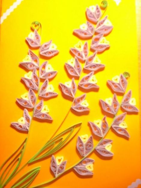 felicitare 
