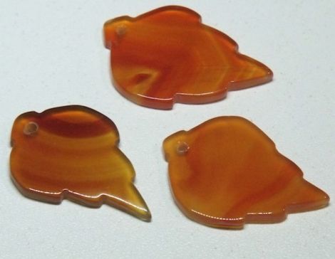 Agata rosie-Frunza