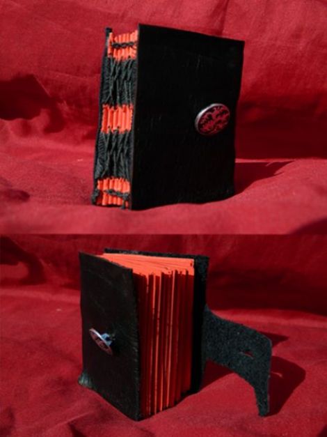 Mini jurnal medieval
